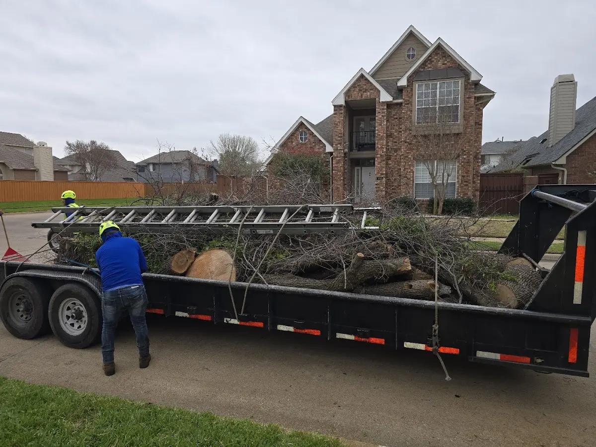 Expert Tree Removal with proper safety equipment in New Auburn